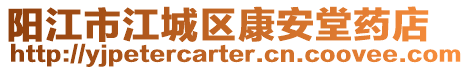 陽江市江城區(qū)康安堂藥店