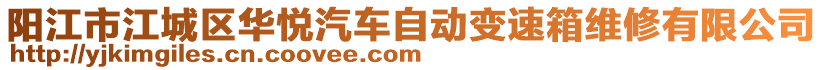 陽江市江城區(qū)華悅汽車自動變速箱維修有限公司