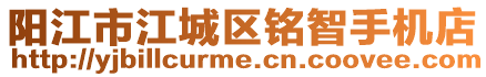 陽江市江城區(qū)銘智手機(jī)店