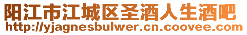 陽江市江城區(qū)圣酒人生酒吧