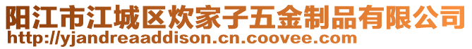 陽江市江城區(qū)炊家子五金制品有限公司