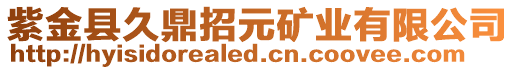 紫金縣久鼎招元礦業(yè)有限公司