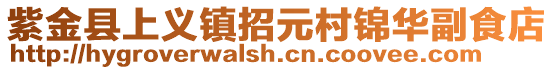 紫金縣上義鎮(zhèn)招元村錦華副食店
