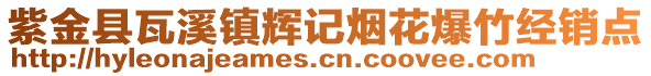 紫金縣瓦溪鎮(zhèn)輝記煙花爆竹經(jīng)銷點