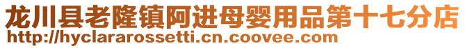 龙川县老隆镇阿进母婴用品第十七分店