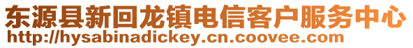 东源县新回龙镇电信客户服务中心