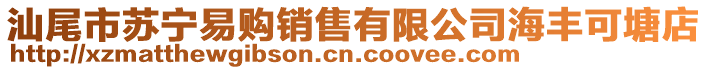 汕尾市蘇寧易購銷售有限公司海豐可塘店