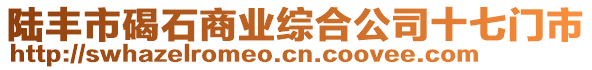 陆丰市碣石商业综合公司十七门市