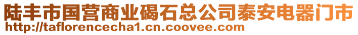 陸豐市國(guó)營(yíng)商業(yè)碣石總公司泰安電器門市