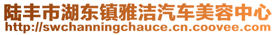 陆丰市湖东镇雅洁汽车美容中心