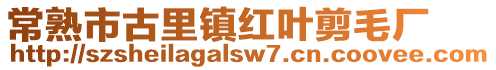 常熟市古里鎮(zhèn)紅葉剪毛廠