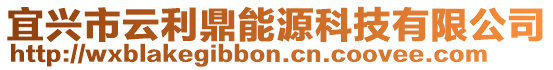 宜兴市云利鼎能源科技有限公司