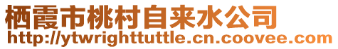 棲霞市桃村自來水公司