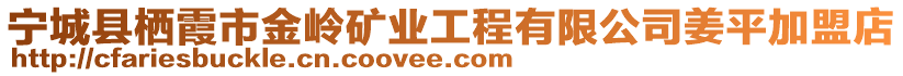 寧城縣棲霞市金嶺礦業(yè)工程有限公司姜平加盟店