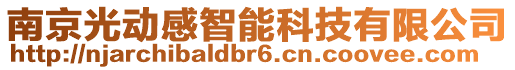 南京光動感智能科技有限公司