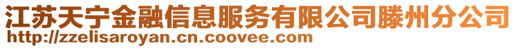 江蘇天寧金融信息服務(wù)有限公司滕州分公司