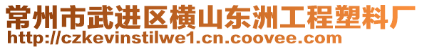 常州市武進(jìn)區(qū)橫山東洲工程塑料廠