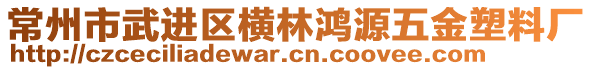 常州市武進(jìn)區(qū)橫林鴻源五金塑料廠