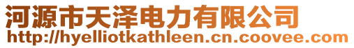 河源市天澤電力有限公司