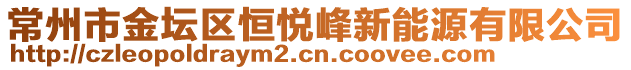 常州市金壇區(qū)恒悅峰新能源有限公司