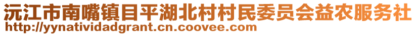 沅江市南嘴镇目平湖北村村民委员会益农服务社