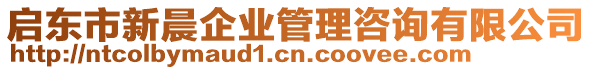 啟東市新晨企業(yè)管理咨詢有限公司