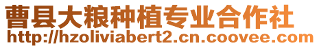 曹縣大糧種植專業(yè)合作社