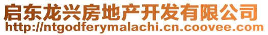 啟東龍興房地產(chǎn)開發(fā)有限公司