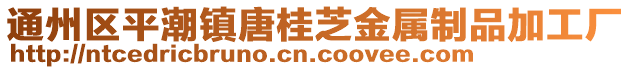 通州區(qū)平潮鎮(zhèn)唐桂芝金屬制品加工廠