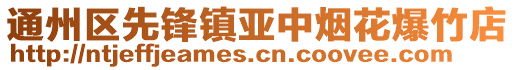 通州區(qū)先鋒鎮(zhèn)亞中煙花爆竹店