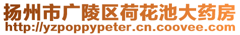 揚州市廣陵區(qū)荷花池大藥房