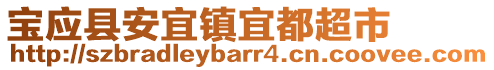 宝应县安宜镇宜都超市