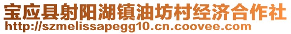 寶應縣射陽湖鎮(zhèn)油坊村經濟合作社