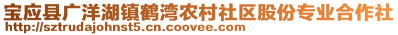 寶應(yīng)縣廣洋湖鎮(zhèn)鶴灣農(nóng)村社區(qū)股份專業(yè)合作社