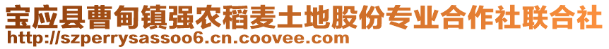 宝应县曹甸镇强农稻麦土地股份专业合作社联合社