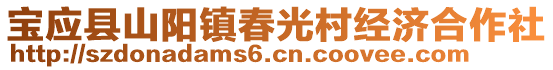 宝应县山阳镇春光村经济合作社