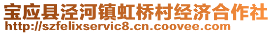 宝应县泾河镇虹桥村经济合作社