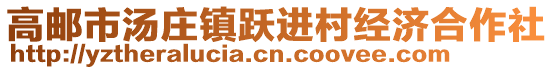 高郵市湯莊鎮(zhèn)躍進村經(jīng)濟合作社