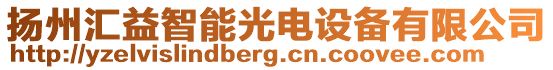 揚(yáng)州匯益智能光電設(shè)備有限公司