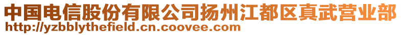 中國電信股份有限公司揚(yáng)州江都區(qū)真武營業(yè)部