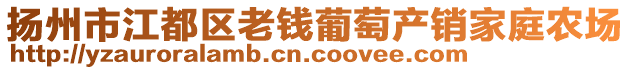 揚州市江都區(qū)老錢葡萄產(chǎn)銷家庭農(nóng)場