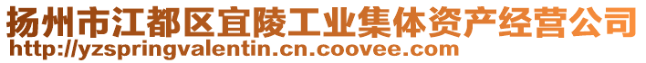 揚(yáng)州市江都區(qū)宜陵工業(yè)集體資產(chǎn)經(jīng)營(yíng)公司