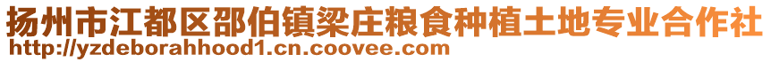 揚州市江都區(qū)邵伯鎮(zhèn)梁莊糧食種植土地專業(yè)合作社