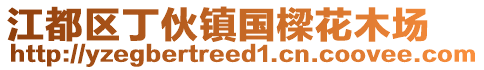 江都區(qū)丁伙鎮(zhèn)國樑花木場