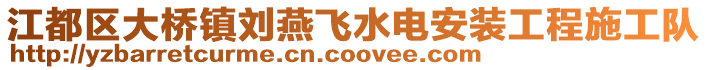 江都区大桥镇刘燕飞水电安装工程施工队