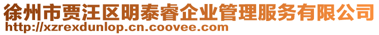 徐州市賈汪區明泰睿企業管理服務有限公司