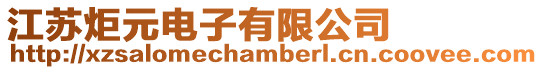 江蘇炬元電子有限公司