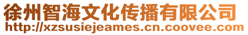 徐州智海文化傳播有限公司
