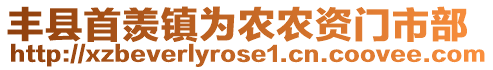 豐縣首羨鎮(zhèn)為農(nóng)農(nóng)資門市部