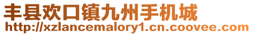 豐縣歡口鎮(zhèn)九州手機(jī)城